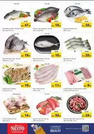 Nesto catalogue Page 23