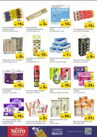 Nesto catalogue Page 15