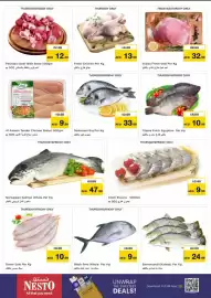 Nesto catalogue Page 25