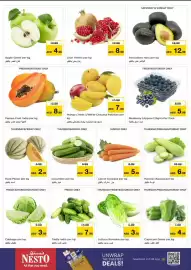 Nesto catalogue Page 3