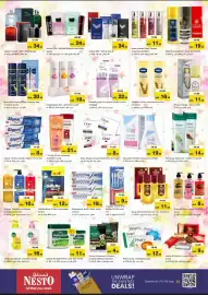 Nesto catalogue Page 11