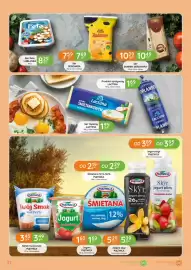 Eurocash Cash & Carry gazetka Strona 31