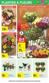 Catalogue Carrefour | LE MOIS MONOPOLY page 68: Plantes vertes €2,49, Bouquet C'est l'Automne €9,50