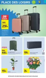 Catalogue Carrefour | LE MOIS MONOPOLY page 69: AMERICAN TOURISTER Valise rigide Roadrush €44,99, Coupe de chrysanthème €3,99