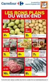 Catalogue Carrefour page 1