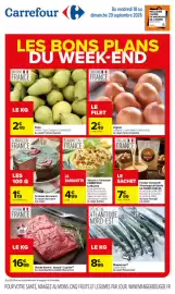 Catalogue Carrefour page 1
