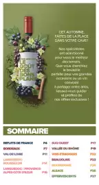 Catalogue Carrefour City | LA FOIRE AUX VINS page 2