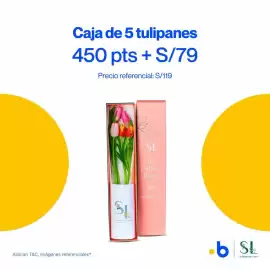 Catálogo Bonus Página 3
