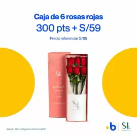 Catálogo Bonus Página 4