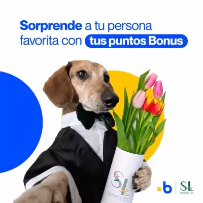 Catálogo Bonus (válido hasta 19-10)
