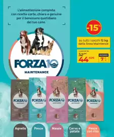 Volantino Arcaplanet Pagina 13: Forza10 Maintenance €44,62
