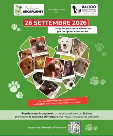 Volantino Arcaplanet Pagina 31