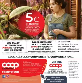 Volantino Coop Master Alleanza 3.0 Pagina 28