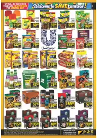 J&E Cash and Carry catalogue week 38 Page 18: Robertsons Air Fry Spice €320,99, Knorrox Stock Cubes €289,99