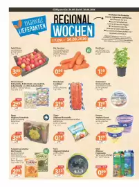 V Markt Prospekt woche 39 Seite 12