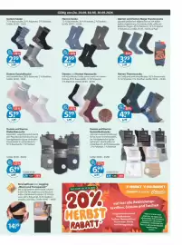 V Markt Prospekt woche 39 Seite 21