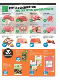 V Markt Prospekt woche 39 Seite 3