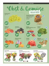V Markt Prospekt woche 39 Seite 4