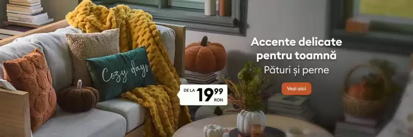 Catalog Sinsay Pagină 2