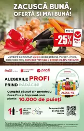 Catalog PROFI săptămâna 38 Pagină 15