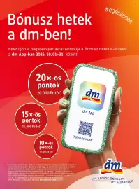 DM akciós újság Oldal 100