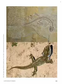 DM akciós újság Oldal 95