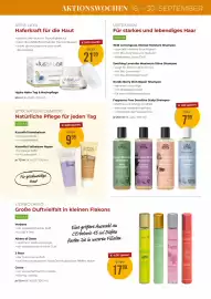 Martin Reformstark Flugblatt Seite 11