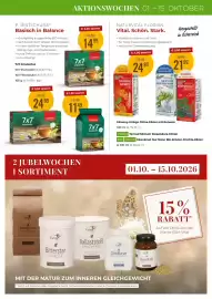 Martin Reformstark Flugblatt Seite 19