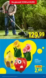 Volantino Lidl | Il cambio stagione che vale davvero Pagina 15: Decorazioni led a energia solare €2,49