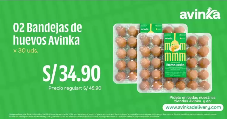 Catálogo Avinka (válido hasta 30-09)