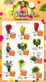 Encarte Giassi Supermercados semana 38 Página 2
