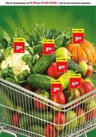 API MARKET gazetka tydzień 38 Strona 11
