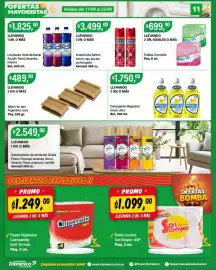 Catálogo Supermercados Damesco semana 38 Página 11: Selton insecticida €3.499,00