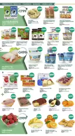 Catálogo Supermercados Buenos Días semana 38 Página 3: Il bambino tapas para empanadas criolla/horno/freir €999,00
