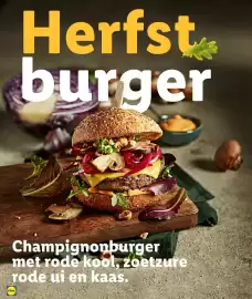 Lidl folder Pagina 22