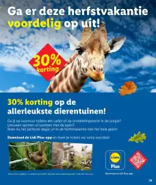 Lidl folder Pagina 39