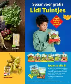 Lidl folder Pagina 7