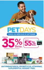 Catálogo Salcobrand Página 11