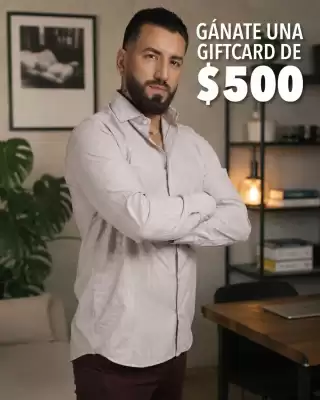 Camisas Él (válido hasta 19-10)
