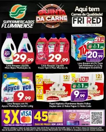 Catálogo Supermercados Fluminense Página 15: Lava Roupas em Pó Tixan Ypê Primavera €20,99