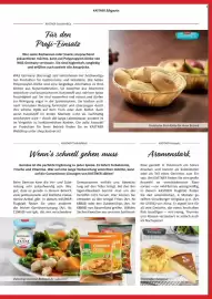 Kastner Flugblatt Seite 19