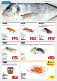 Kastner Flugblatt Seite 4: Eisvogel Goldbrasse €19,49, Schenkel Forellen Kaviar €9,49