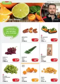 Kastner Flugblatt Seite 7: Physalis Klasse I €1,79, Waldviertler Knoblauch €2,59