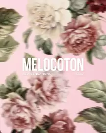 Catálogo Melocoton Página 2