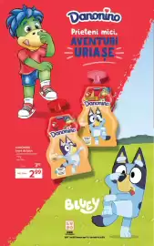 Catalog Selgros Pagină 12