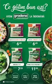 Catalog Selgros Pagină 6: Gradena amestec chinezesc €6,49, Gradena broccoli €7,29
