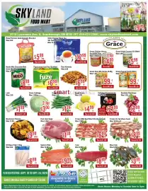 Skyland Foodmart flyer week 38 Page 1