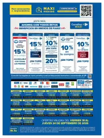 Folleto Carrefour Maxi Página 13