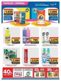 Folleto Carrefour Maxi Página 4: Cif - desinfectante aerosol €4.365,00, Ace - jabón líquido clasico €3.695,00