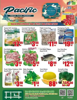 New Pacific (valid until 24-09)
